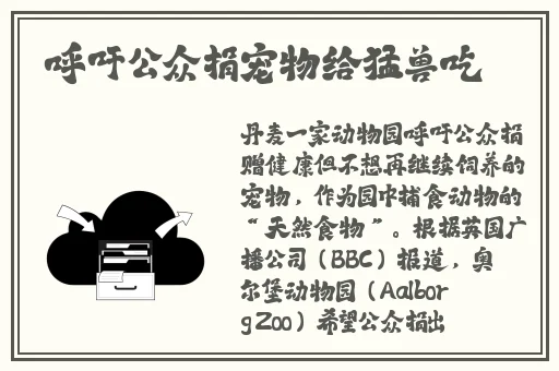 美丽的家庭教师